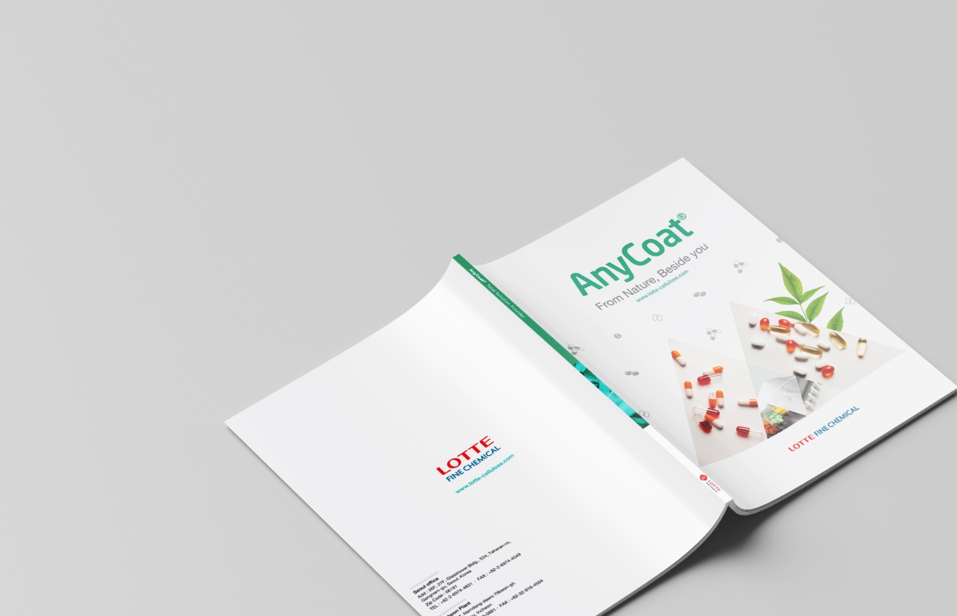 AnyCoat® Brochres